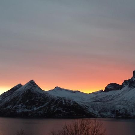 Senja, Husoy I Senja. Leilighet Med Utsikt Over Fjord Og Fjell Tofta Exteriör bild