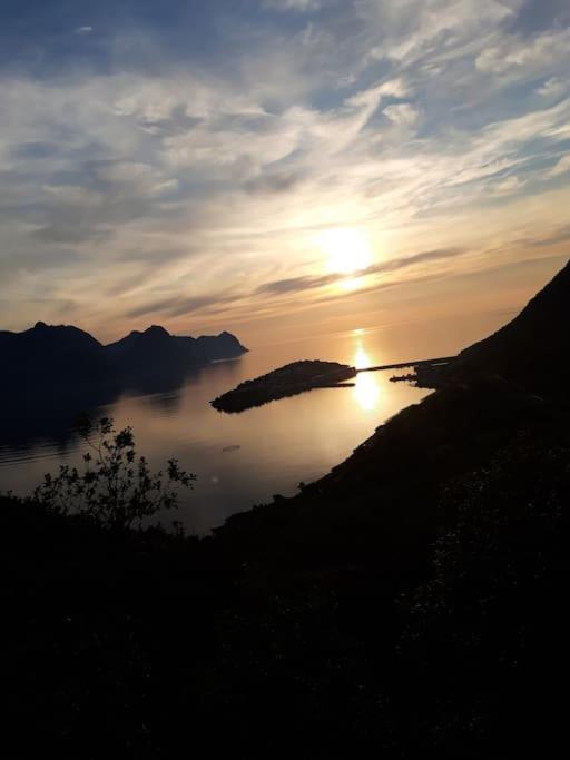 Senja, Husoy I Senja. Leilighet Med Utsikt Over Fjord Og Fjell Tofta Exteriör bild