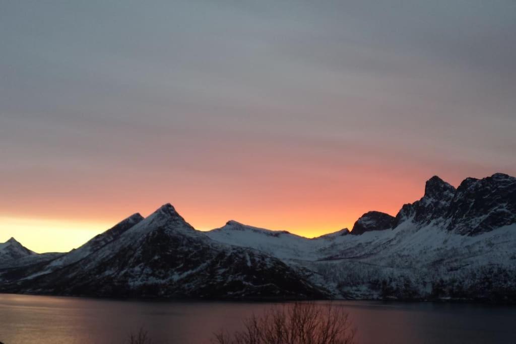 Senja, Husoy I Senja. Leilighet Med Utsikt Over Fjord Og Fjell Tofta Exteriör bild