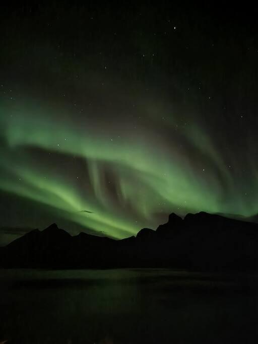 Senja, Husoy I Senja. Leilighet Med Utsikt Over Fjord Og Fjell Tofta Exteriör bild